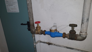 WhatsApp Image 2022-02-28 at 12.19.19